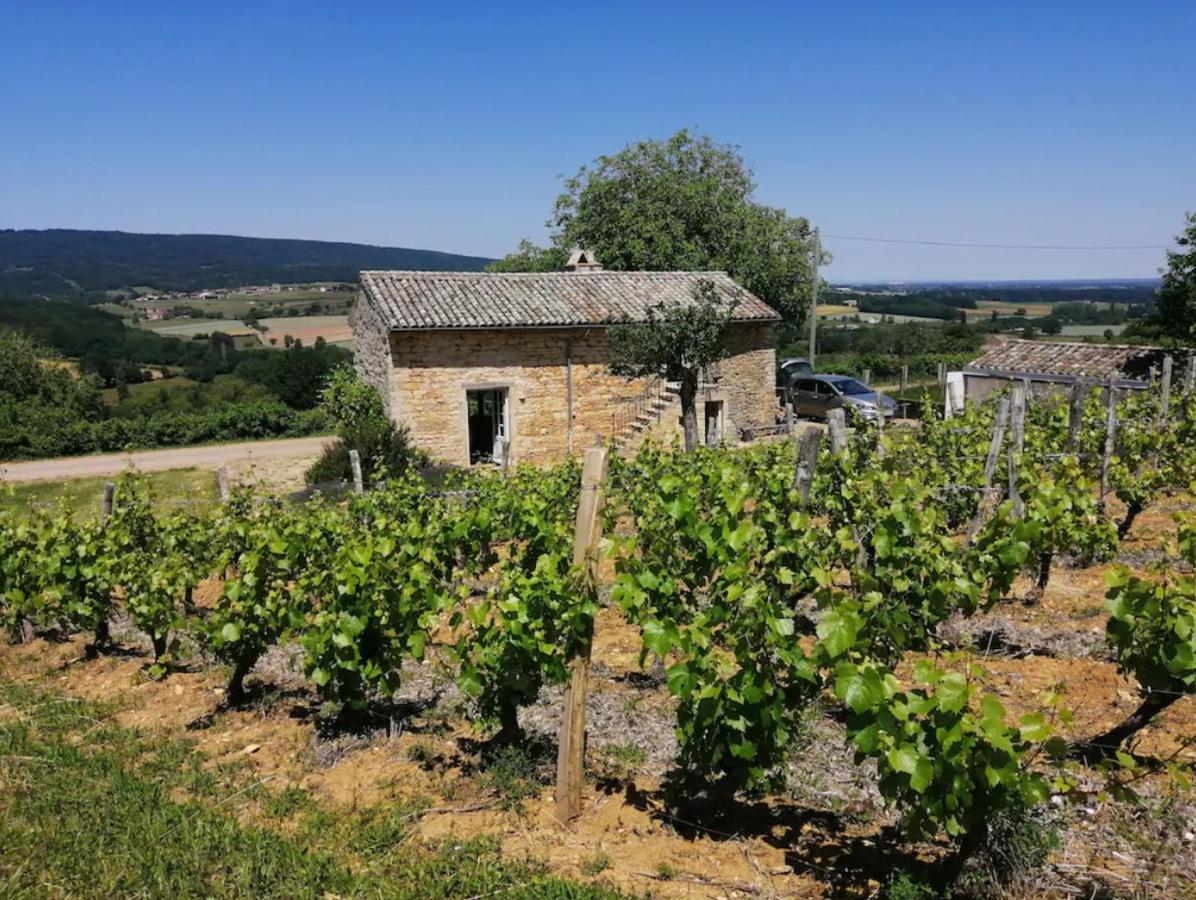 Une Maison De Campagne En Bourgogne Du Sud Турню Экстерьер фото